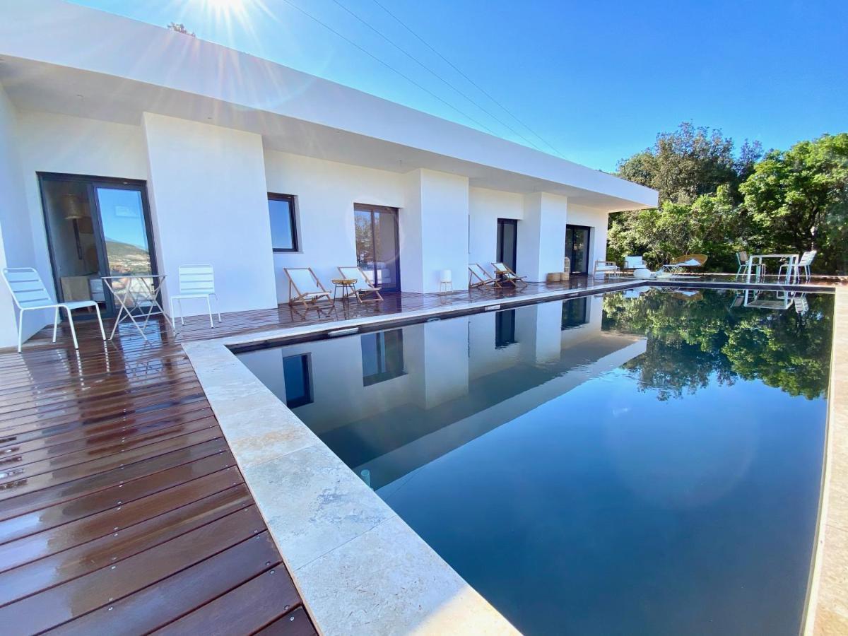Villas De Standing Avec Magnifique Vue Mer Et Piscines Privees, Sagone Сагон Екстериор снимка